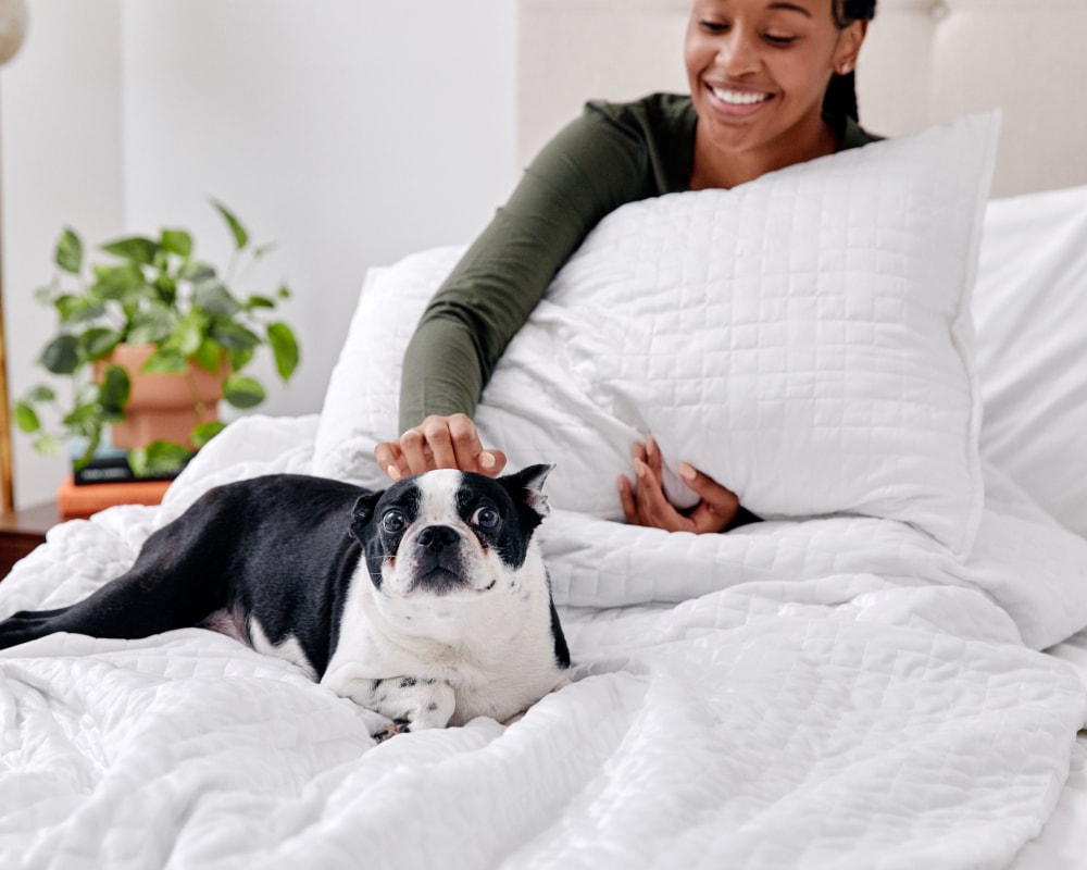 Gravity Weighted Blanket by Gravity Blankets