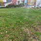 Yearly Regenerative and Sustainable Lawn Care by Elm Dirt