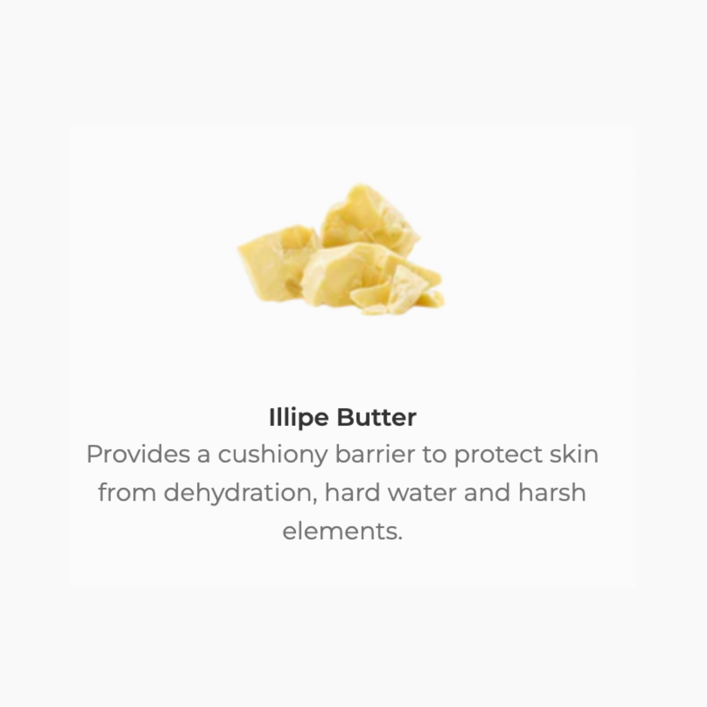 Candlenut Body Creme, 7.5 oz by JUARA Skincare
