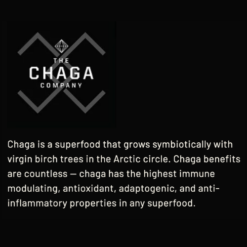 3 Pack - Masala Chai with Chaga Six Servings by The Chaga Company