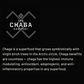 The Chaga Company - Miracle Apple Cider Tincture 2oz by The Chaga Company