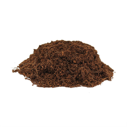 'Myco Coco' Loose Coco Coir Substrate & Casing Layer by North Spore