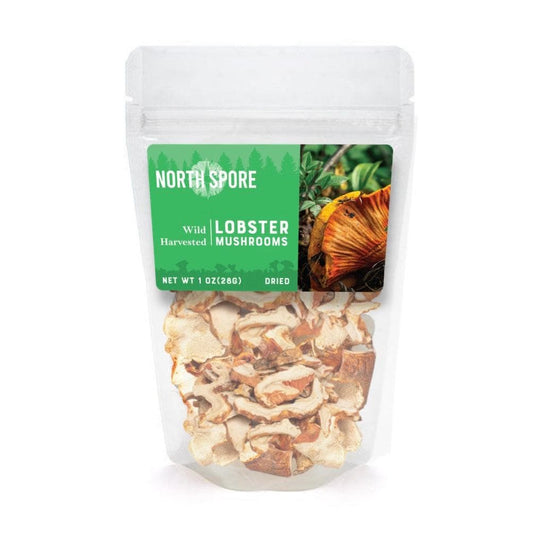 Dried Wild Lobster Mushrooms by North Spore