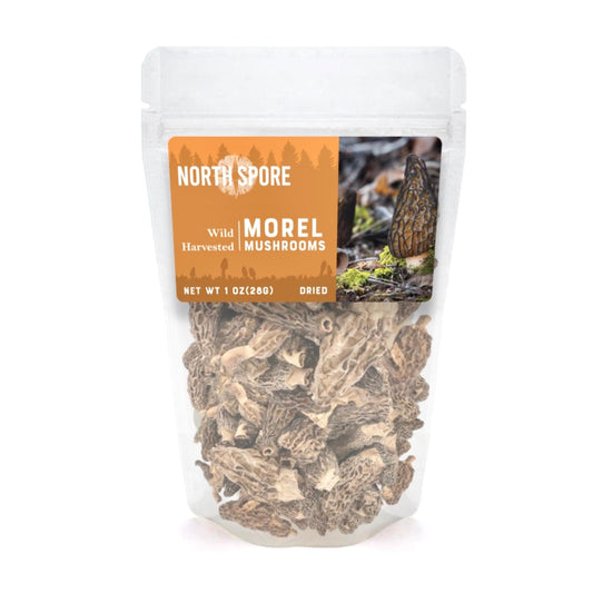 Dried Wild Morel Mushrooms by North Spore