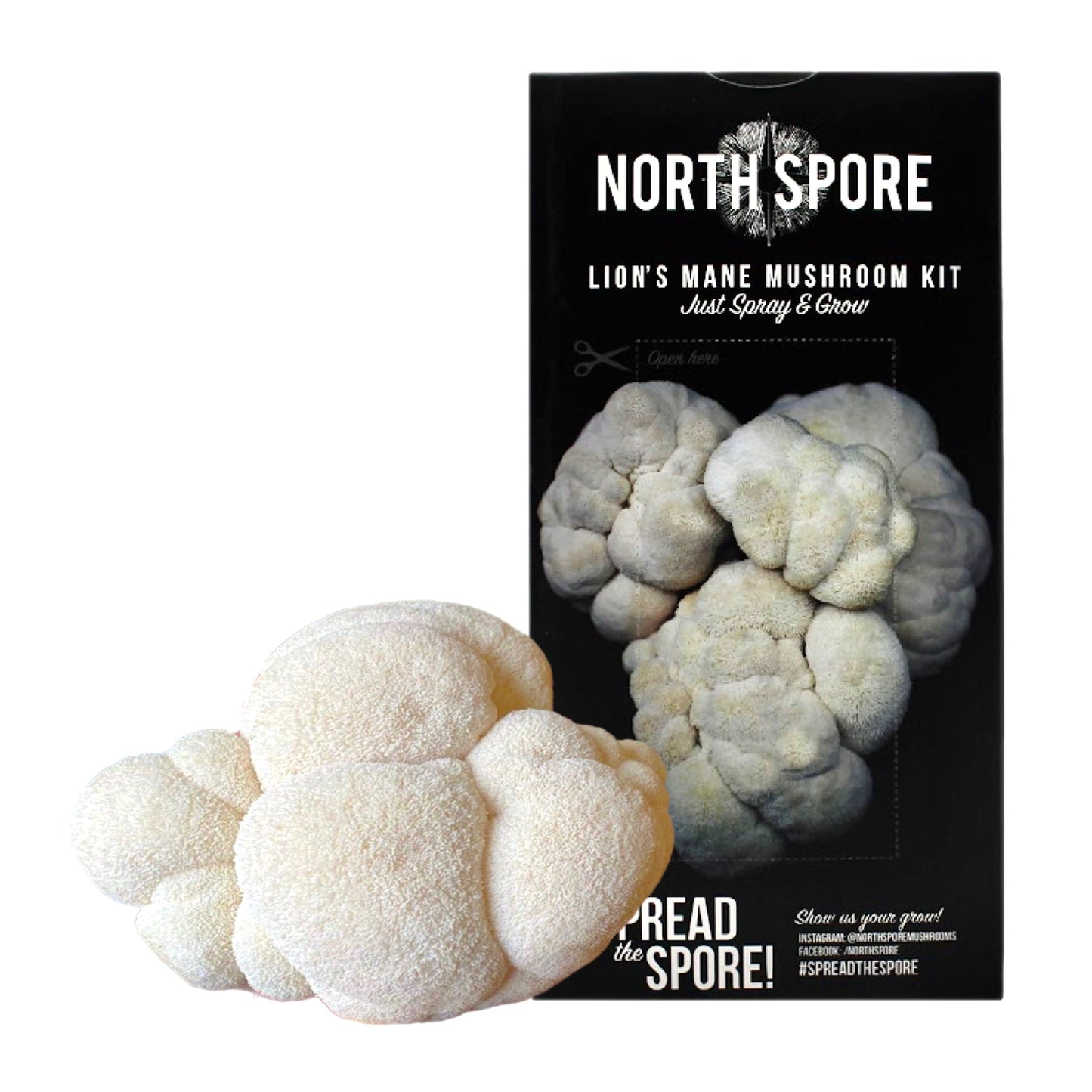 Organic Lion's Mane ‘Spray & Grow’ Mushroom Growing Kit by North Spore