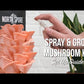 Organic Pink Oyster ‘Spray & Grow’ Mushroom Growing Kit by North Spore