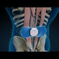 NeuroMD Corrective Therapy Device® for Back Pain by NeuroMD