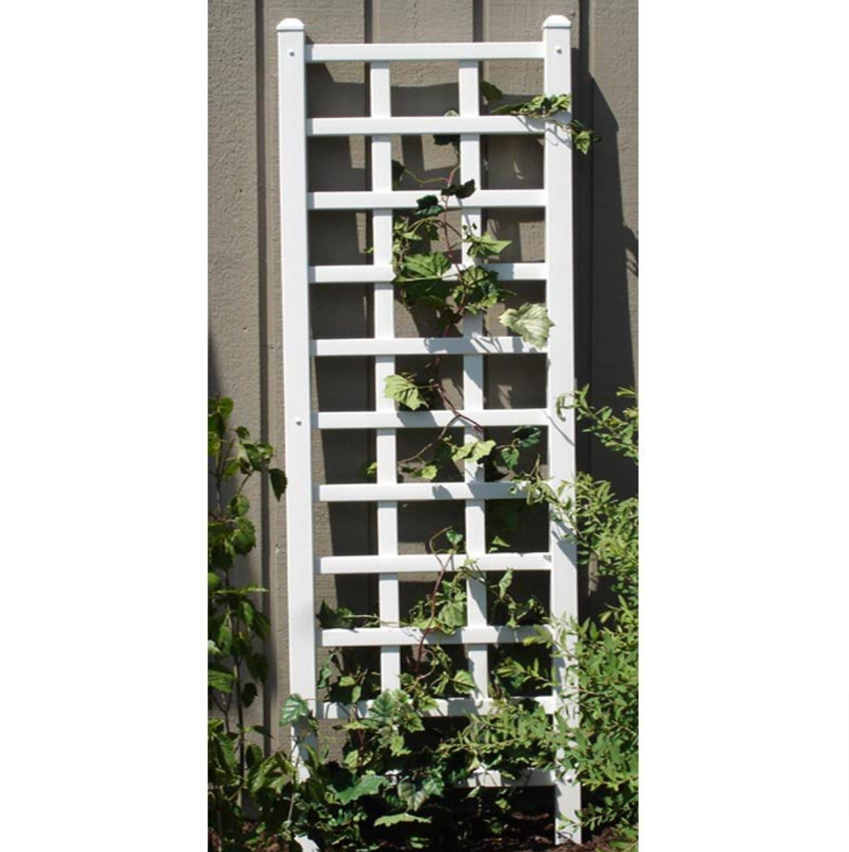 6.25 Ft Wall Trellis in White Vinyl