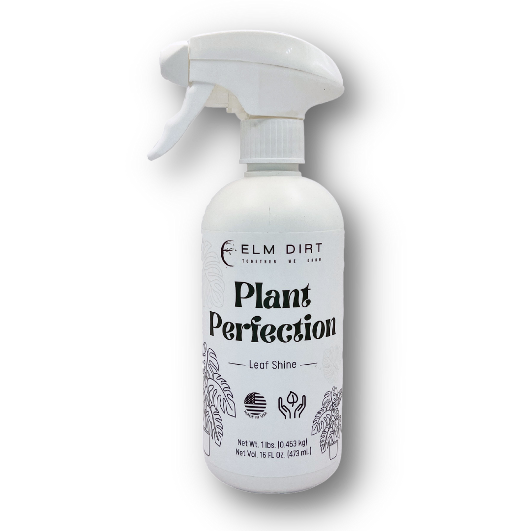 Plant Perfection by Elm Dirt