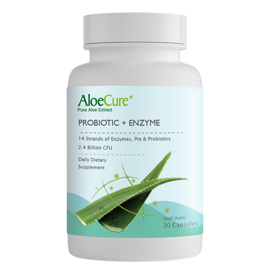 Pre+Probiotic & Digestive Enzyme Blend by AloeCure
