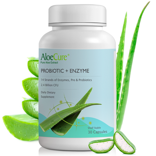Pre+Probiotic & Digestive Enzyme Blend by AloeCure