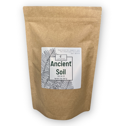 Ancient Soil by Elm Dirt