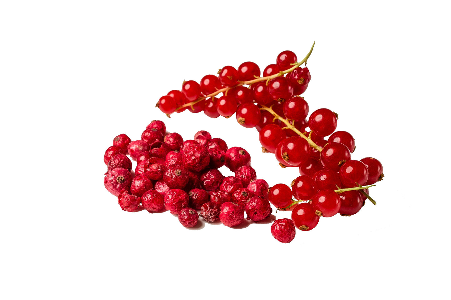 Freeze Dried Red Currant Snack by The Rotten Fruit Box