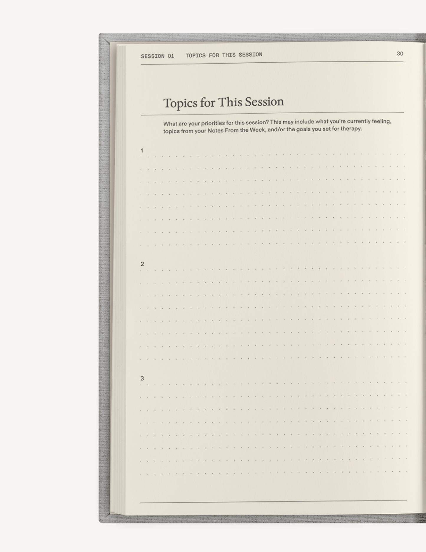 The Therapy Journal by Therapy Notebooks
