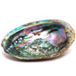 Abalone Shell Ashtray/ Wooden Stand /  Sage by OMSutra