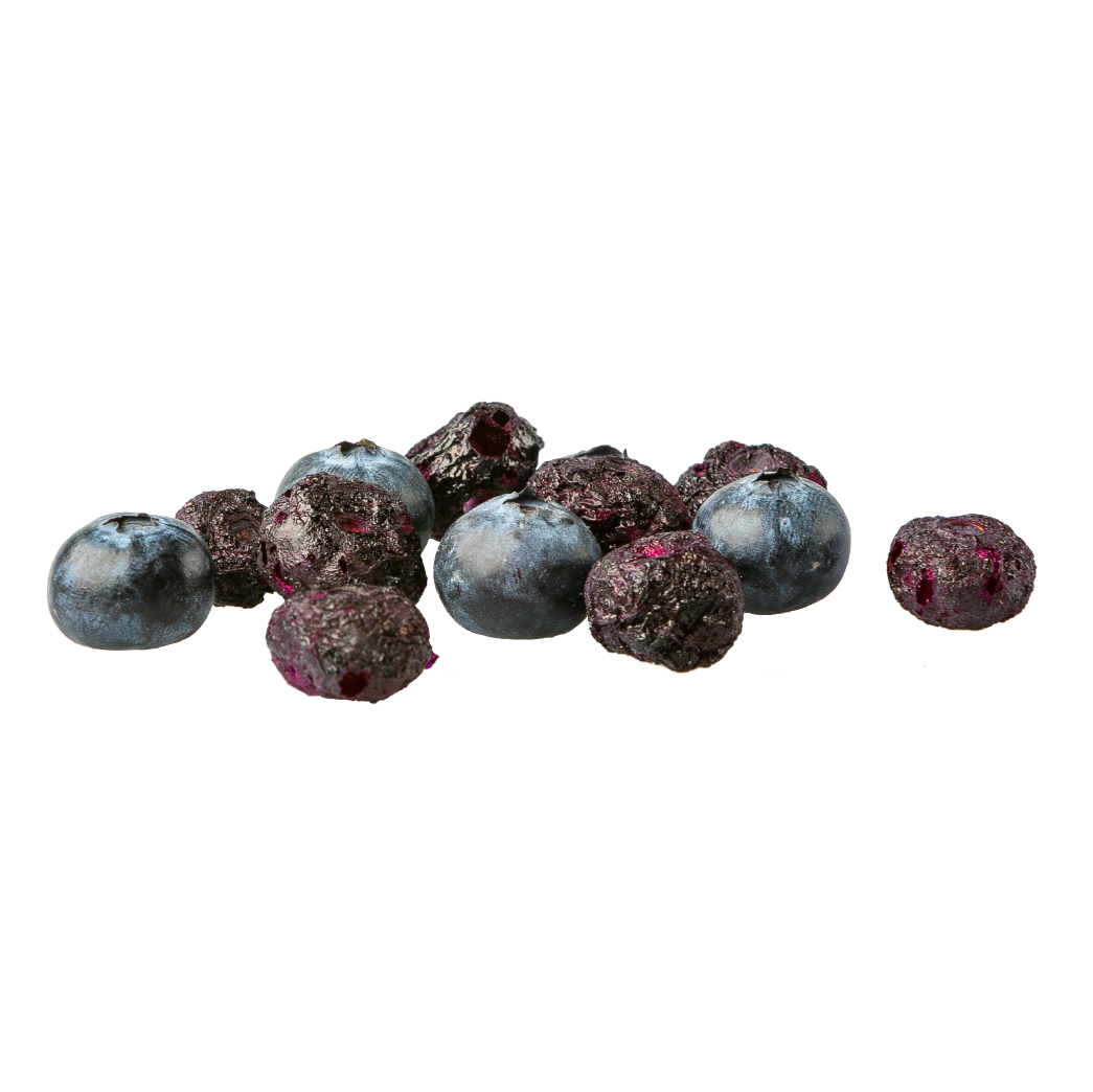 Freeze Dried Blueberry Snack by The Rotten Fruit Box