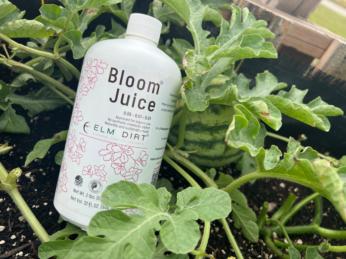 Bloom Power Bundle by Elm Dirt - Lotus and Willow