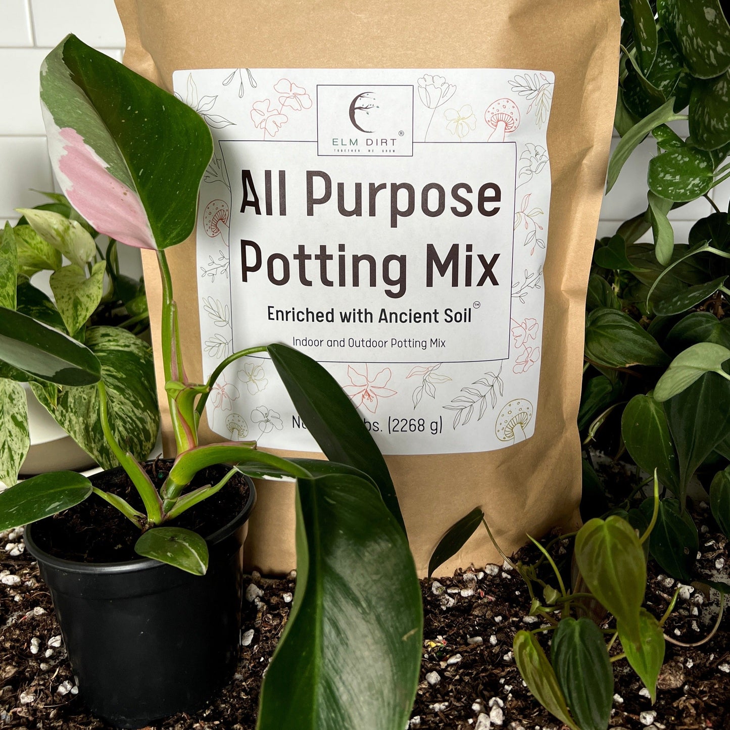 All-Purpose Soil Mix by Elm Dirt