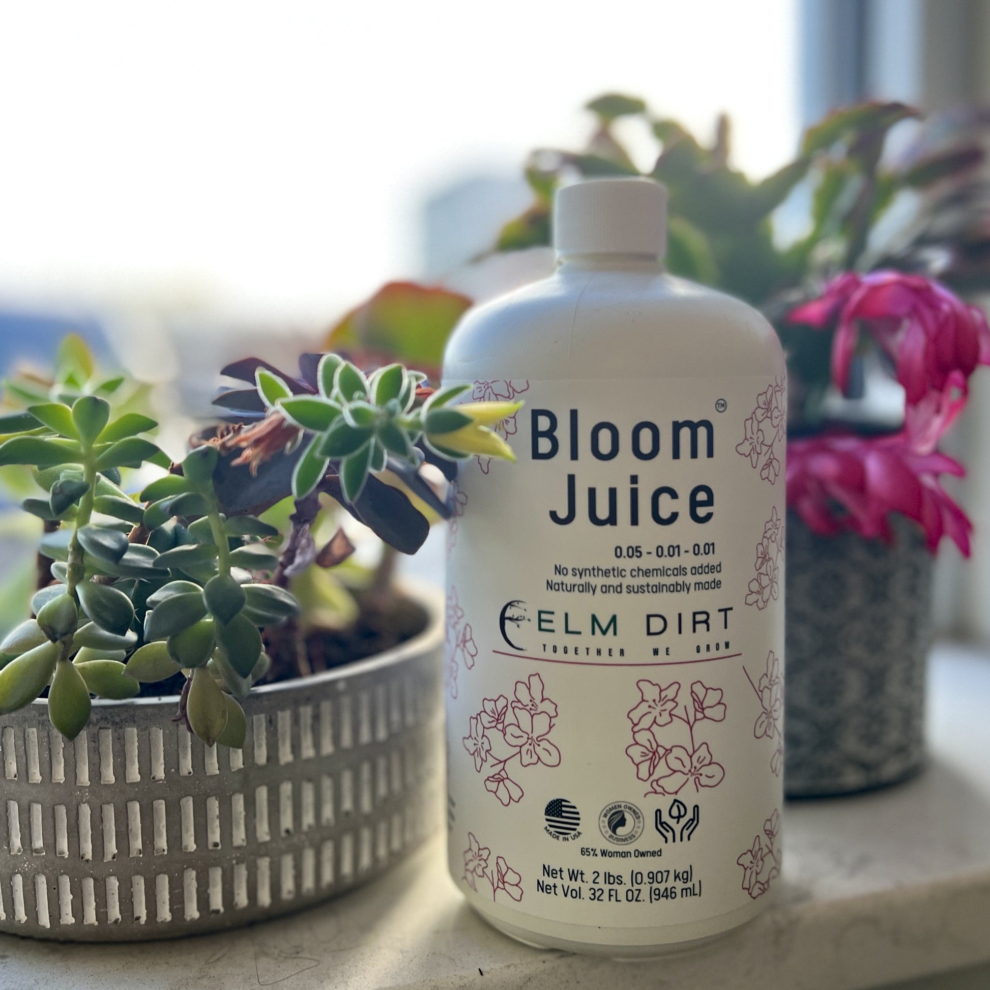 Bloom Juice by Elm Dirt - Lotus and Willow