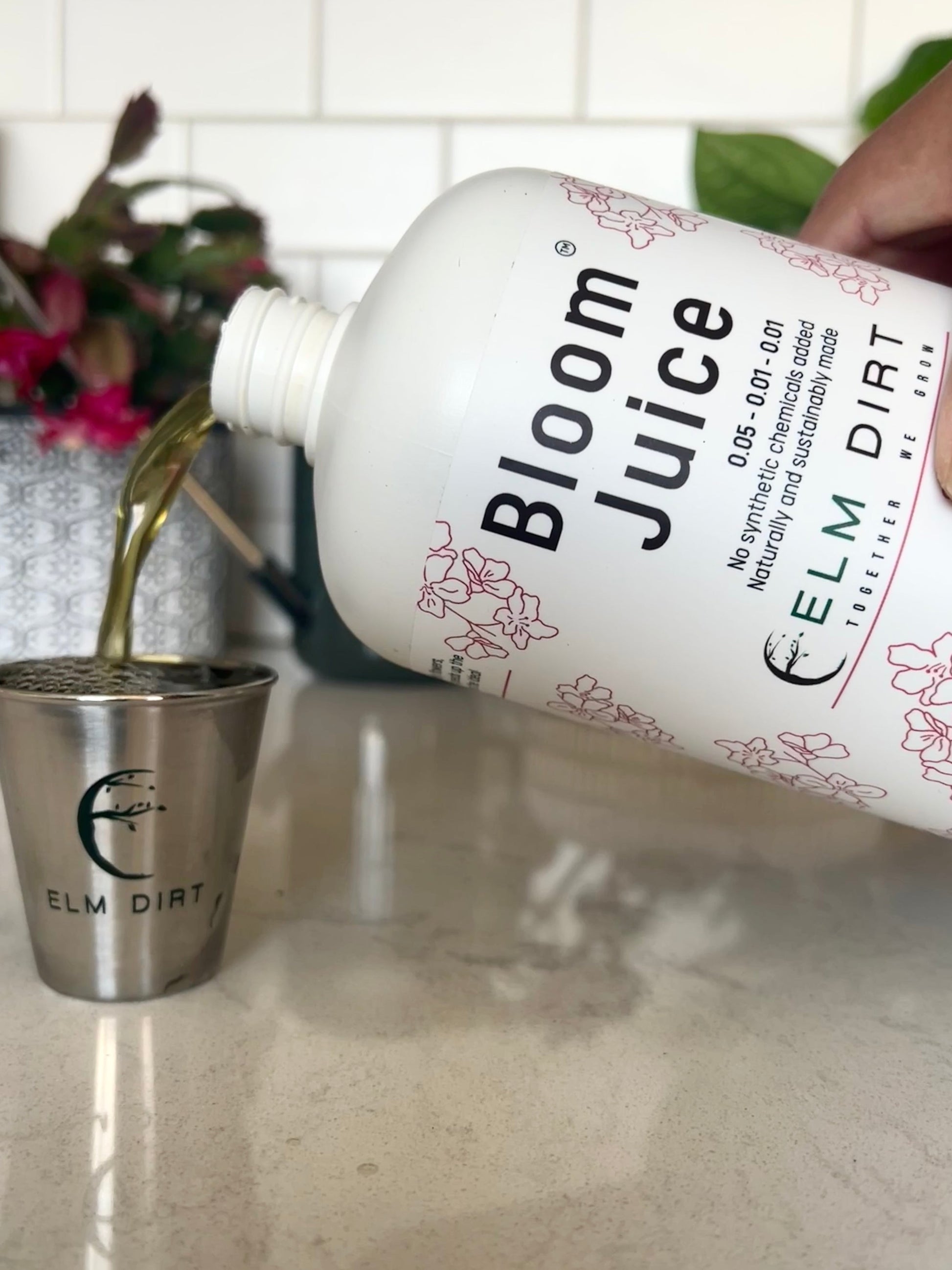 Bloom Power Bundle by Elm Dirt - Lotus and Willow