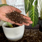 Elm Dirt Starter Kit by Elm Dirt - Lotus and Willow