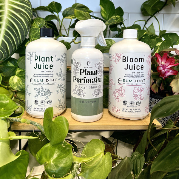 Plant Care Kit by Elm Dirt - Lotus and Willow