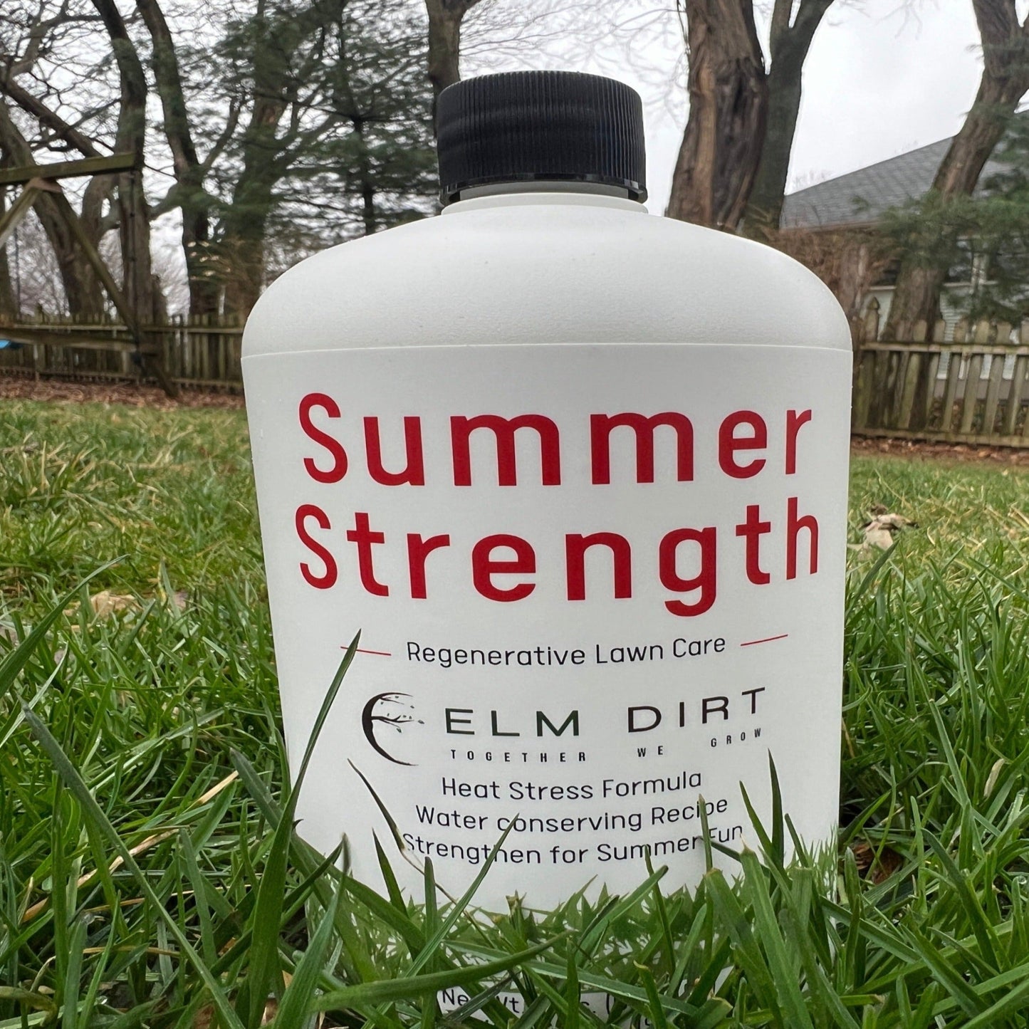 Yearly Regenerative and Sustainable Lawn Care by Elm Dirt