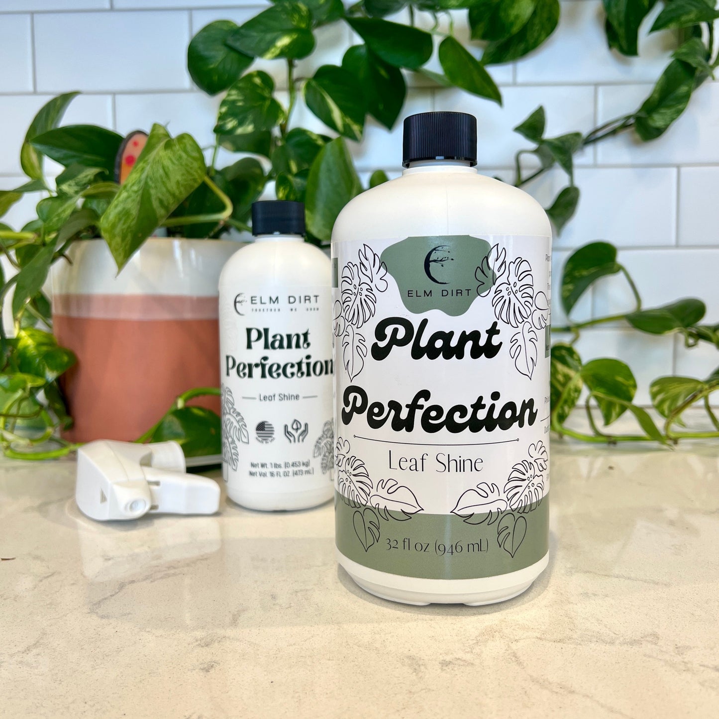 Plant Perfection by Elm Dirt