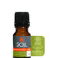 Inspire - Organic Essential Oil Blend by SOiL Organic Aromatherapy and Skincare