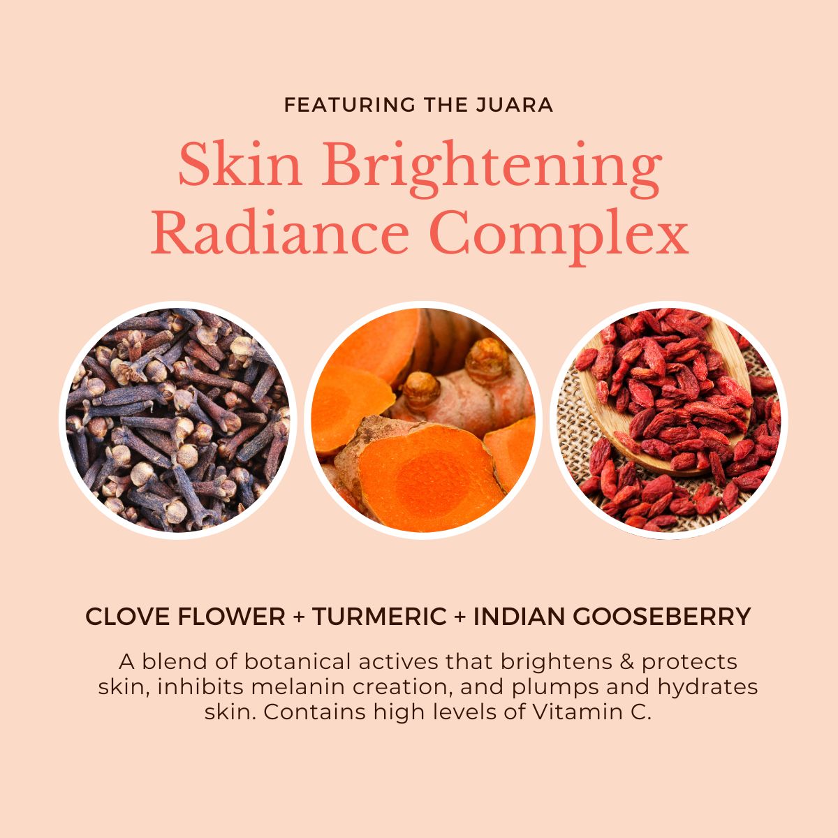 Clove Flower & Turmeric Anti-Aging Serum, 1 oz by JUARA Skincare