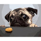 A Dog Wants To Eat A Chip by Paint with Number