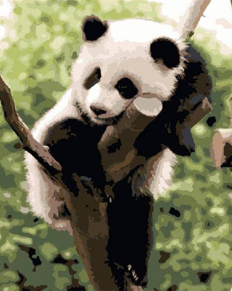 A Panda At Rest by Paint with Number