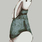 A Shirt Wearing Rabbit by Paint with Number