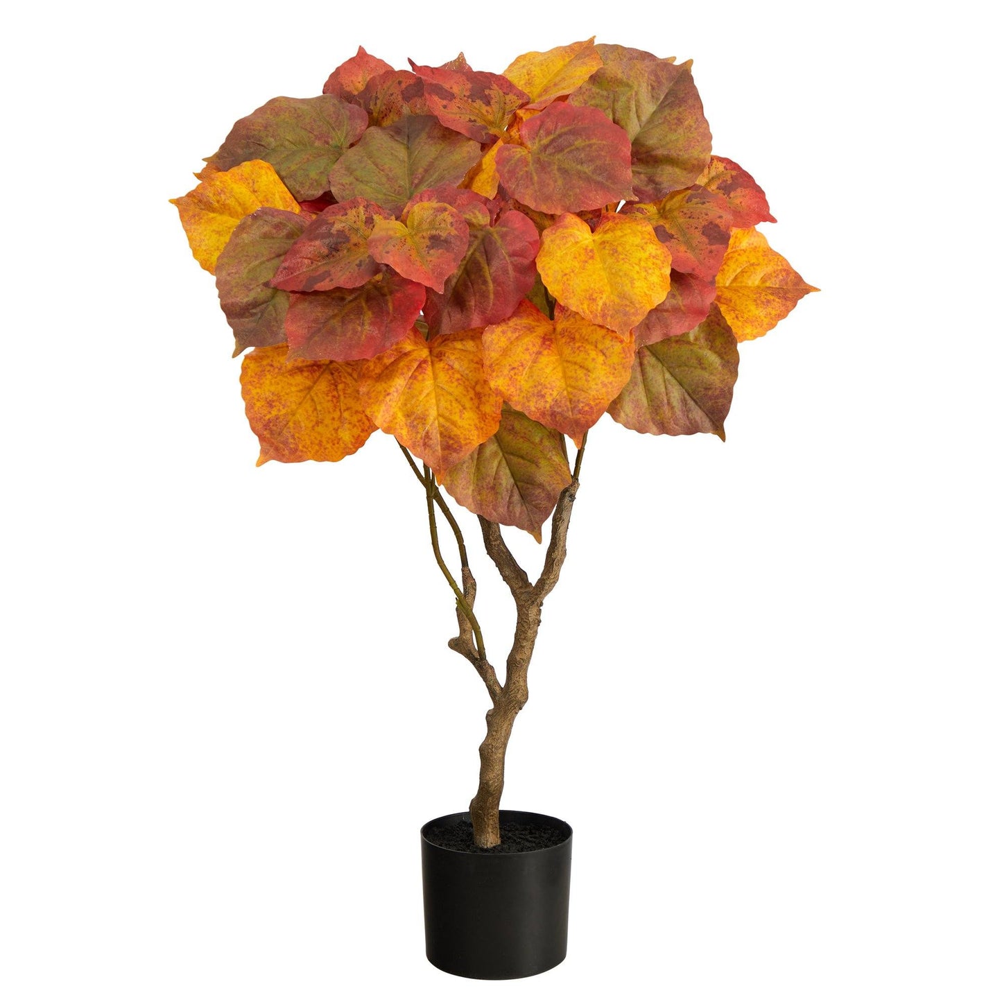 3’ Autumn Umbrella Ficus Tree by Nearly Natural