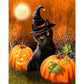 Cat Pumpkin by Paint with Number