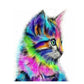 Colorful Cat by Paint with Number