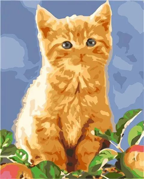 Cute Golden Cat by Paint with Number