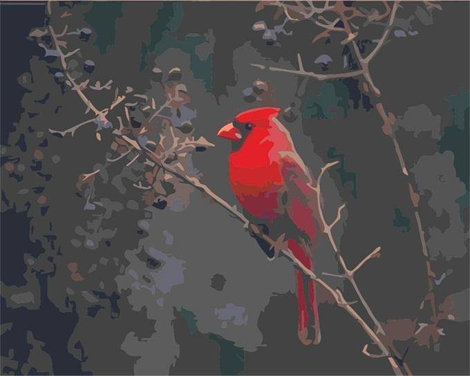 Cute Red Bird by Paint with Number