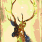 Deer Gold by Paint with Number