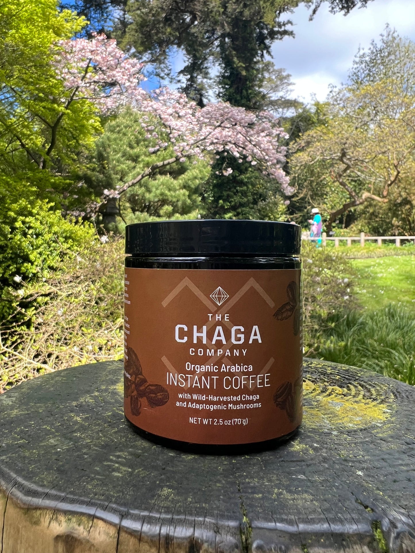 Instant Coffee  with Chaga and Adaptogenic Mushrooms by The Chaga Company