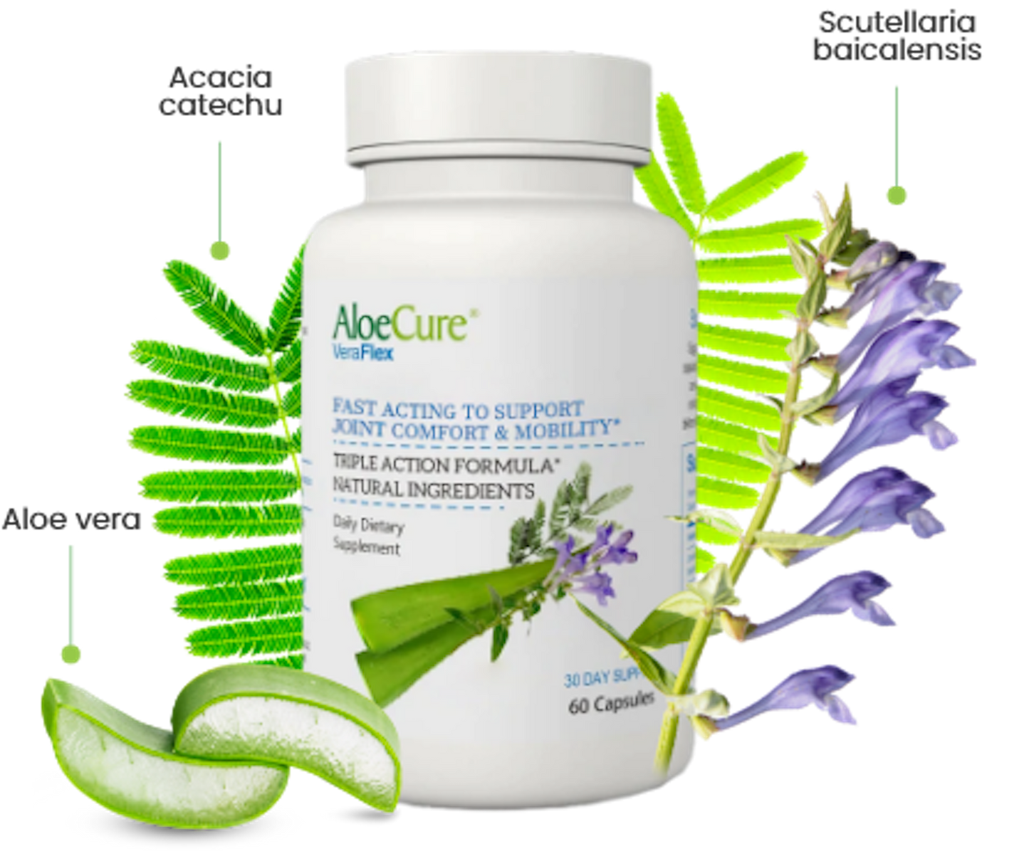 VeraFlex Healthy Joint Support by AloeCure