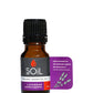 Skincare Kit by SOiL Organic Aromatherapy and Skincare