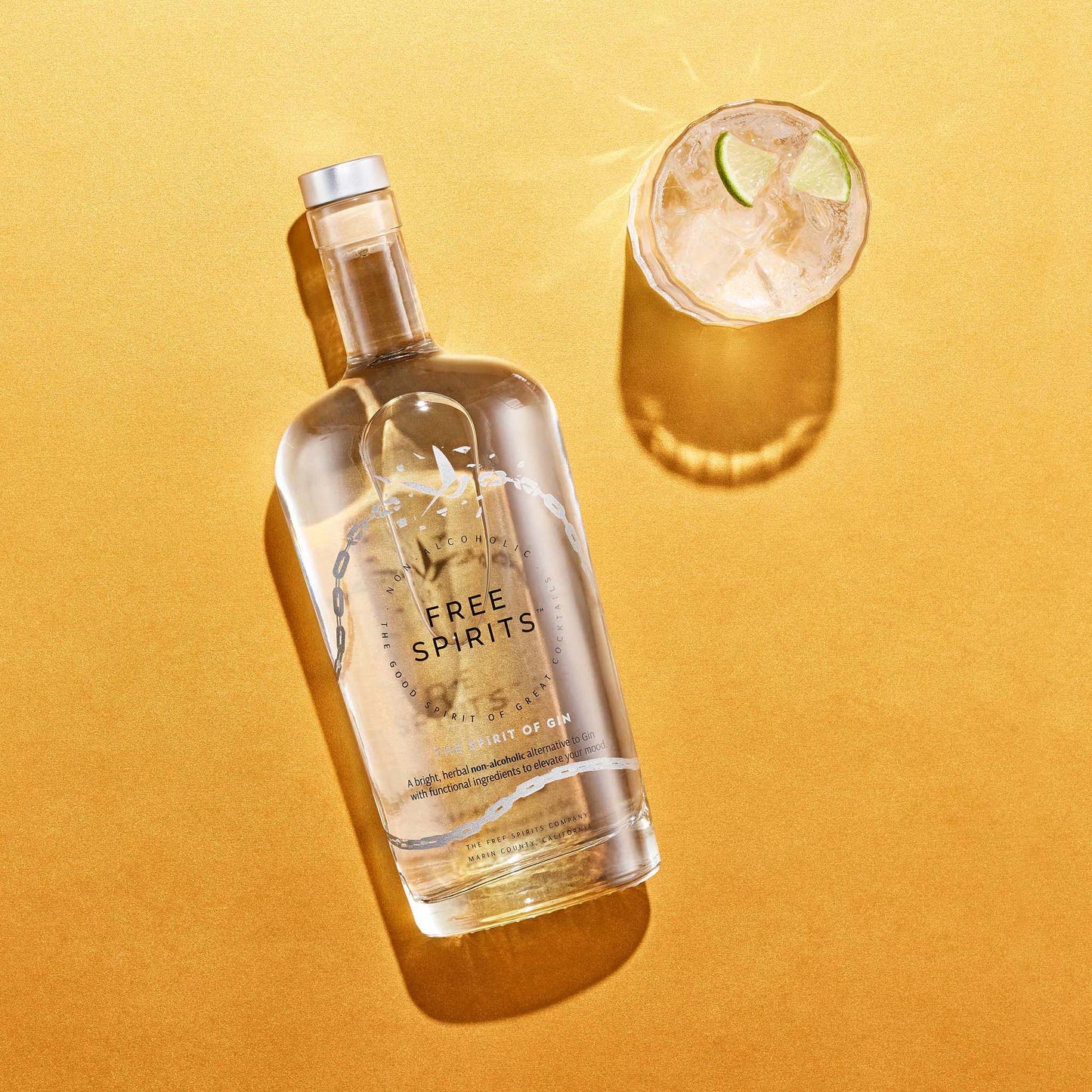 The Spirit of Gin by The Free Spirits Company