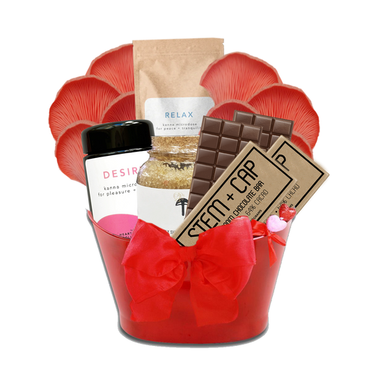 Feeling Mush Love Gift Basket by CULTUREShrooms - Lotus and Willow